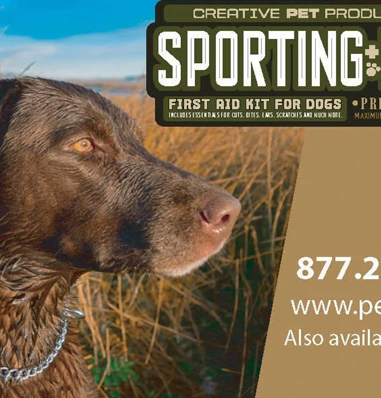 MAI Animal Health sporting dog advertisement