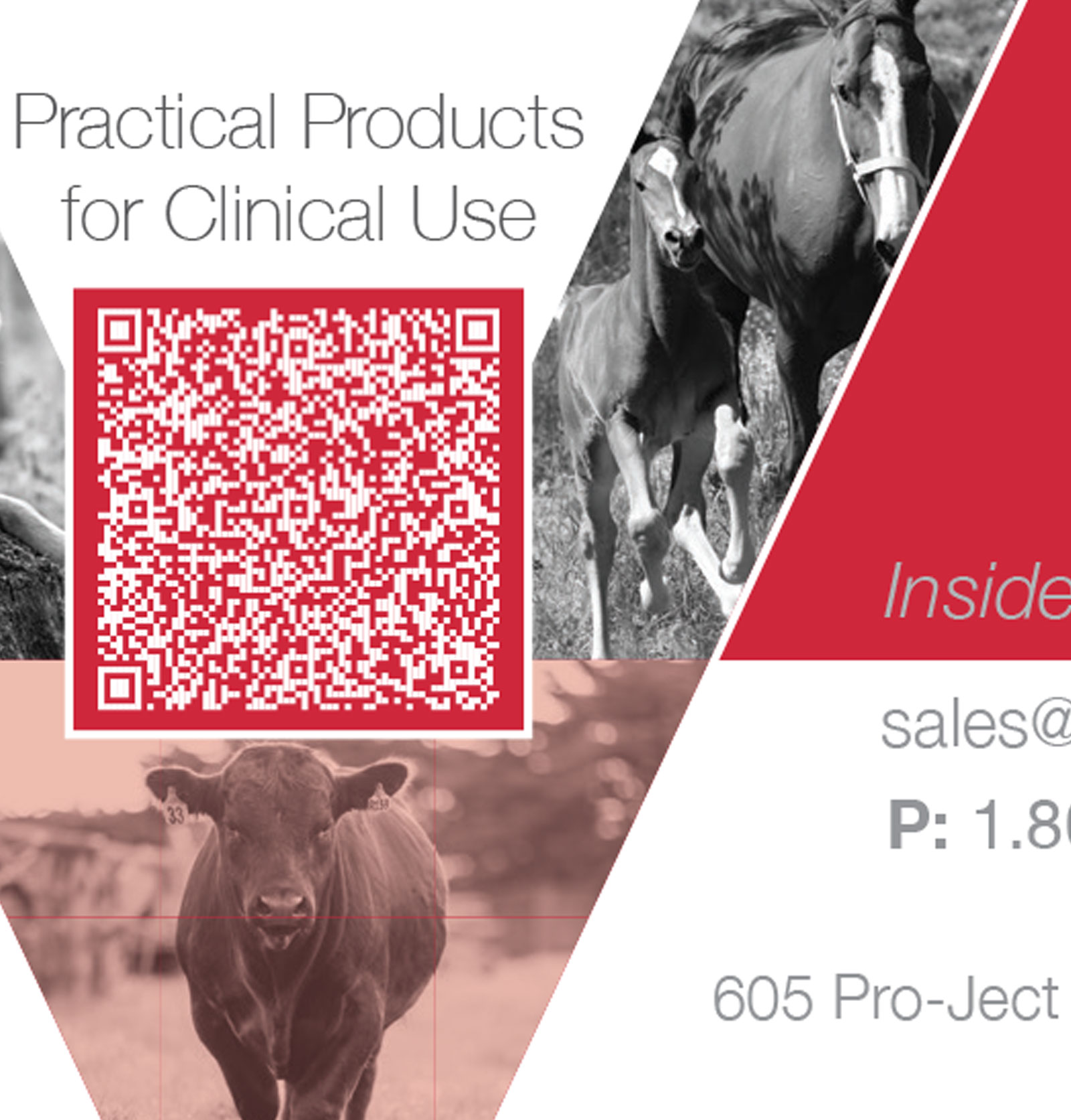 VetConcepts business card